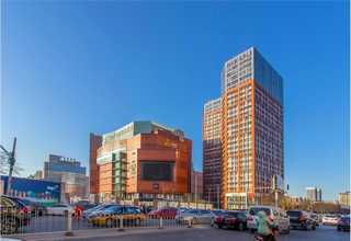 原州区黄花菜的价格